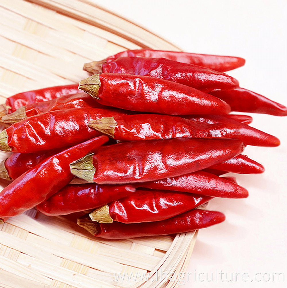 Sichuan Millet Chili Slices